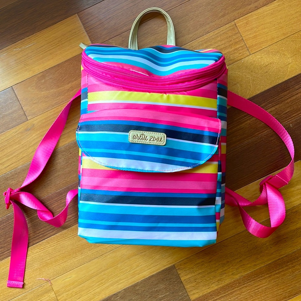 Arctic Zone Colourful Striped Picnic Insulated Backpack